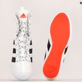 Scarpe da boxe adidas Box Hog 3 bianco e nero GV9975 10