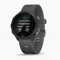 Orologio Garmin Forerunner 245 grigio 010-02120-10