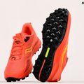 Scarpe da corsa da donna Saucony Peregrine 12 coral/redrock 13
