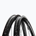DT Swiss AR 1600 SP 700C CL 30 12/142 ASL11 nero ruota posteriore bicicletta 3