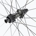 DT Swiss XRC 1501 SP 29 CL 30 12/148 ASRAM ruota posteriore per bicicletta 4