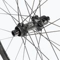 DT Swiss XR 1700 SP 29 CL 25 12/148 ASL12 ruota posteriore per bicicletta 4