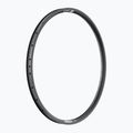 DT Swiss U 663 29 30 MM DB VI 36 nero cerchio bicicletta