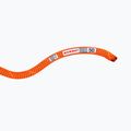 Mammut 9.8 Crag Dry corda da arrampicata di sicurezza arancione/boa 2
