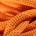 Mammut 9.8 Crag Dry corda da arrampicata di sicurezza arancione/boa 4