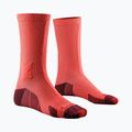 Calzini da uomo X-Socks Trailrun Discover Crew fluo red/namib red