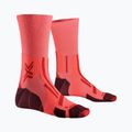 Calze da uomo X-Socks Trailrun Perform Crew fluo red/namib red