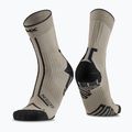 Calzini X-Socks Trailrun Terraskin Expert Crew sand/dark sand