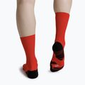 Calzini X-Socks Run Perform Crew rocket red 3