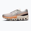 Scarpe da corsa On Running Cloudmonster 2 glacier/tangerine da uomo 2