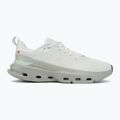 Scarpe da allenamento maschili On Running Cloudpulse Next iceberg/tin 2
