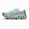 Scarpe da corsa donna On Cloudmonster 3 brook/flurry 2