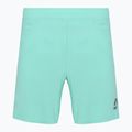 Pantaloncini da corsa uomo SCOTT Endurance LT miami green
