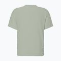 Maglia da corsa da uomo SCOTT Endurance LT spray grey 2
