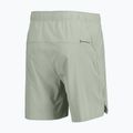 Pantaloncini da corsa da uomo SCOTT Endurance LT spray grey 2