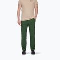 Pantaloni da trekking da uomo Mammut Runbold woods 2