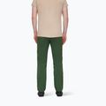 Pantaloni da trekking da uomo Mammut Runbold woods 3