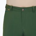 Pantaloni da trekking da uomo Mammut Runbold woods 5