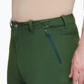 Pantaloni da trekking da uomo Mammut Runbold woods 6