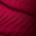 Giacca da trekking Mammut donna Taiss Light ML rosso sangue/marino 10