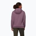 Felpa da donna Mammut ML Hoody Original flux 2