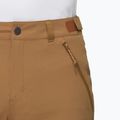 Pantaloncini da trekking da uomo Mammut Runbold IV claystone 4