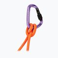 Carabina Mammut Classic HMS Screwgate screw gate/alpine calamint 2