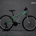 Mountain bike donna Romet Jolene 6.1 verde/viola 15