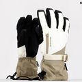 Guanto da snowboard Dakine Sequoia Gore-Tex donna tortora/pietra 11