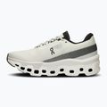 Scarpe da corsa da donna On Running Cloudmonster 2 undyed/frost 10