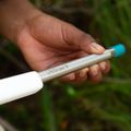 LifeStraw SIP 1-Piece Water Fitting Straw con custodia per il trasporto laguna teal 2