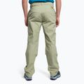 Pantaloni da arrampicata da uomo The North Face Routeset tea green 4