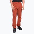 Pantaloni da arrampicata da uomo The North Face Project tandori spice red