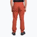 Pantaloni da arrampicata da uomo The North Face Project tandori spice red 4