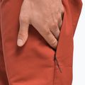 Pantaloni da arrampicata da uomo The North Face Project tandori spice red 6