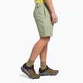 Pantaloncini da arrampicata da uomo The North Face Project tea green 3