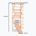 Scala ginnica RINAGYM Sport 3 9