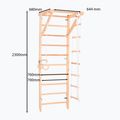 Scala ginnica RINAGYM Sport 2 6