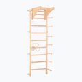 Scala ginnica RINAGYM Eco-Pine 2