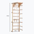 Scala ginnica RINAGYM Eco-Pine 6