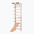 Scala ginnica RINAGYM SPR A+SLIDE 2