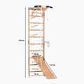 Scala ginnica RINAGYM SPR A+SLIDE 3