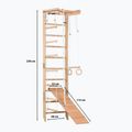 Scala ginnica RINAGYM SPR B+SLIDE 10
