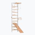 Scala ginnica RINAGYM SPR B+SLIDE