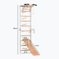 Scala ginnica RINAGYM SPR A+SLIDE 2