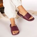 Havaianas Classic Ciabatte terra viola 4