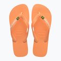 Infradito Havaianas Brasil Logo pesca 10