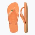 Infradito Havaianas Brasil Logo pesca 11