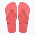 Infradito Havaianas Brasil Logo tropicale corallo 4