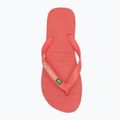 Infradito Havaianas Brasil Logo tropicale corallo 5